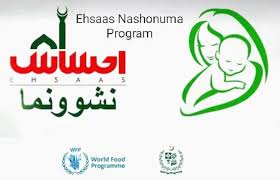 Ehsaas Nashonuma 