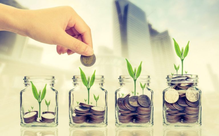 Ehsaas Saving Wallets