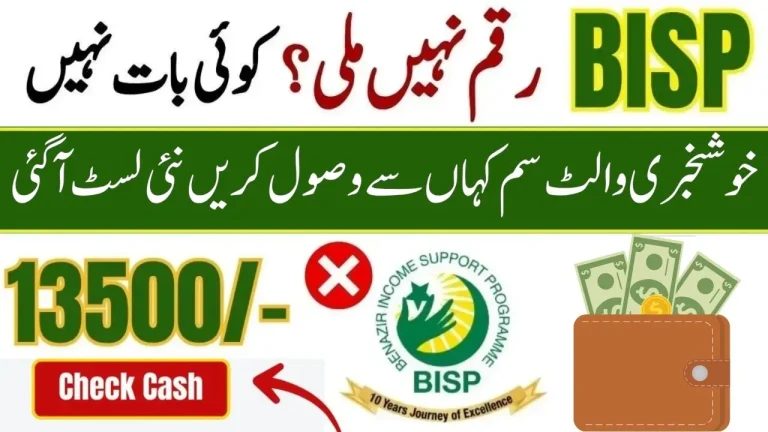 BISP-Wallet-SIM-8171-Complete-Guide-2025-–-Instant-Eligibility-Payment-Check